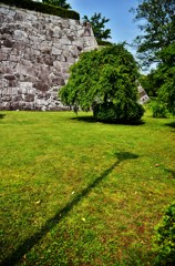 110609盛岡城跡公園