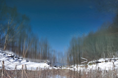 100319八幡平雪景色4