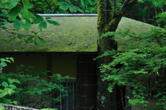 100605京都美山荘 (1)