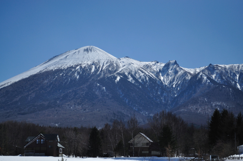 100319八幡平雪景色7