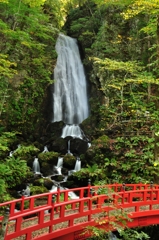 101014不動の滝 (2)