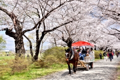 170423北上展勝地よしきり号