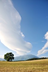 100624初夏の小岩井農場4