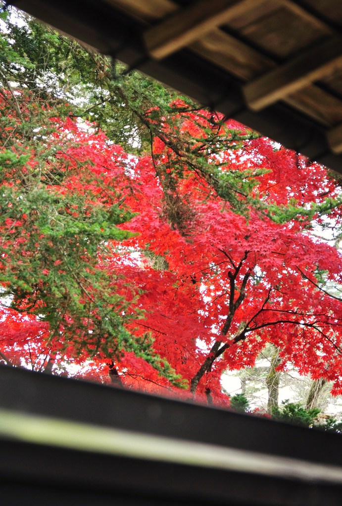 101111角館武家屋敷11