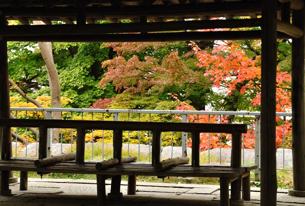 101031盛岡城跡公園11