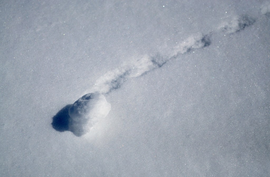 100319八幡平雪景色5