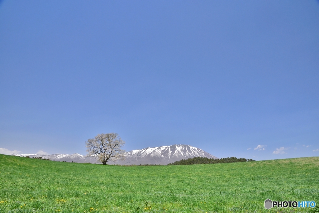 170507小岩井農場