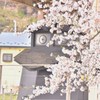 110428展勝地 ラッセル車と桜