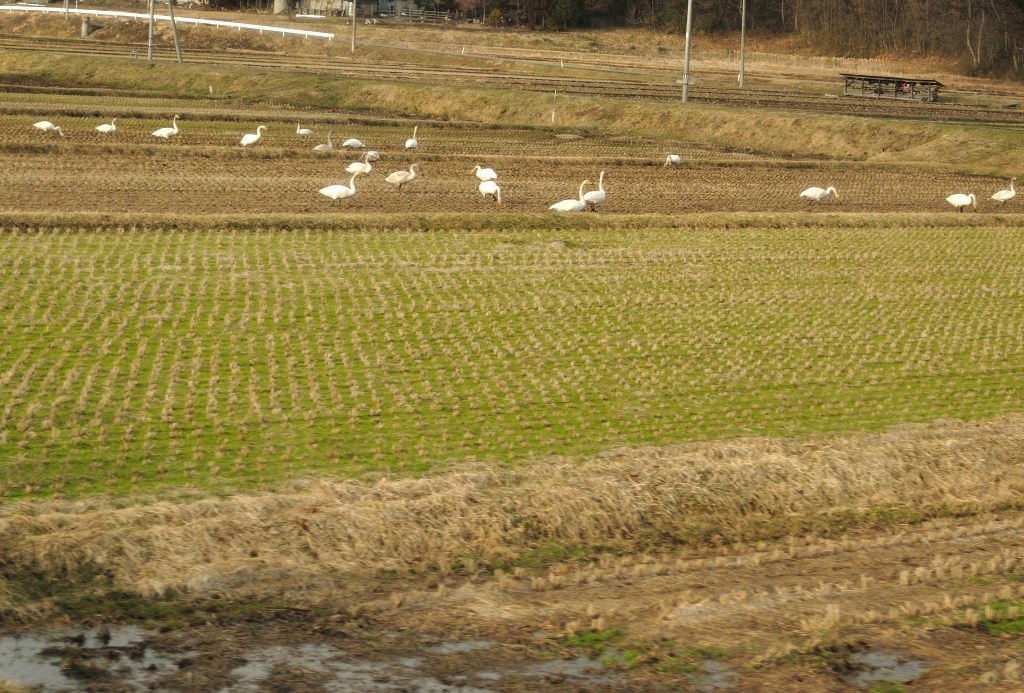 100312釜石線20