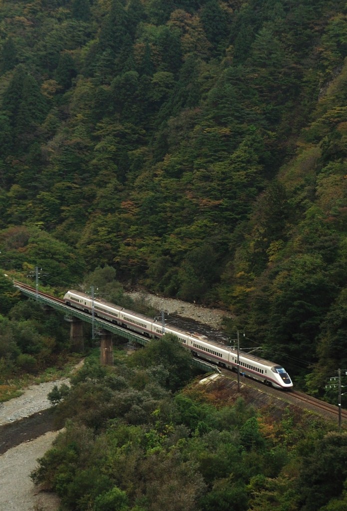 101021仙岩峠 (2)