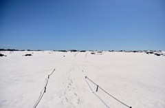 100319焼走り溶岩流3