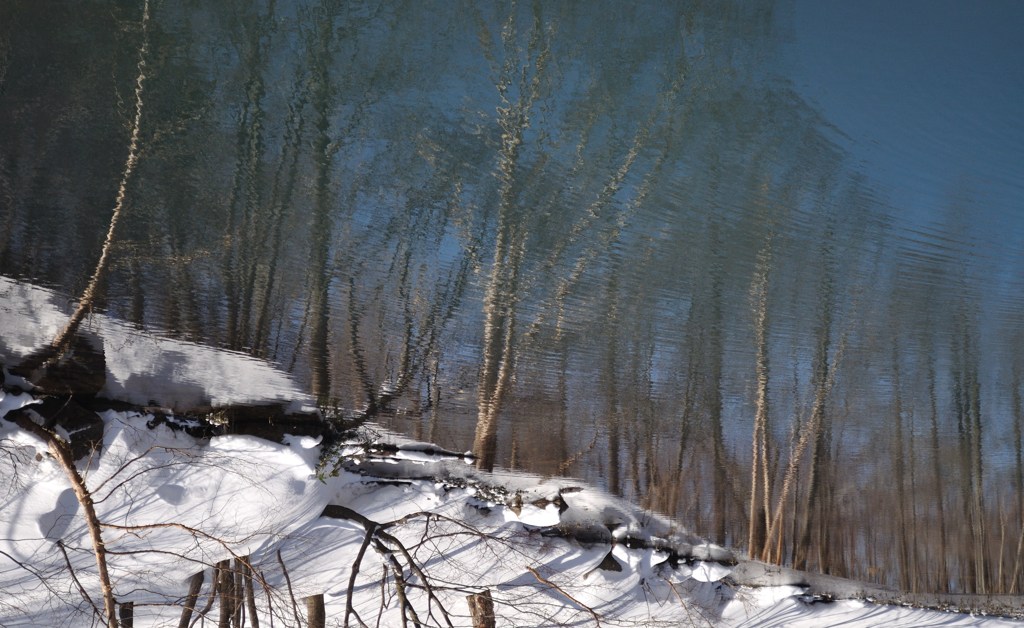 100319八幡平雪景色2