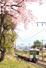 平泉11