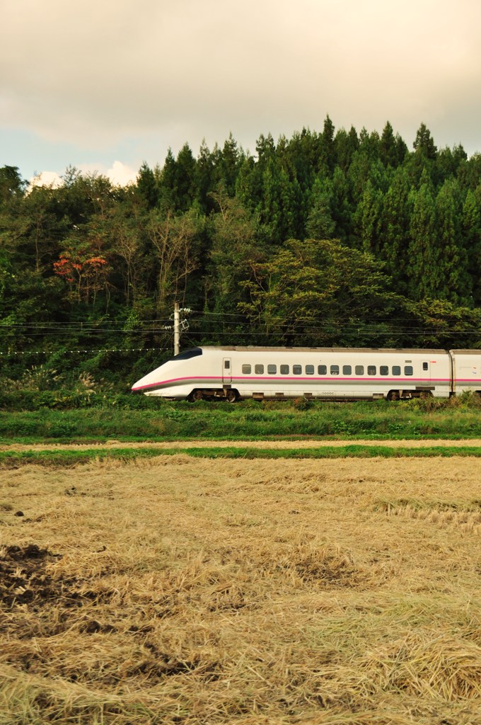 101007秋田新幹線 (1)