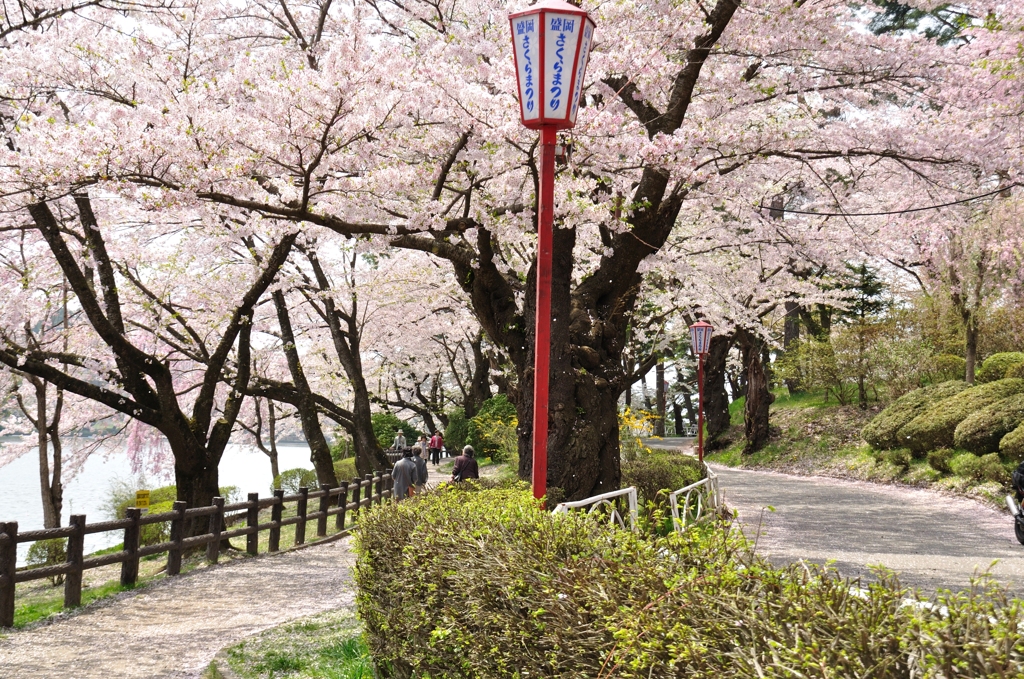 盛岡　高松の池20