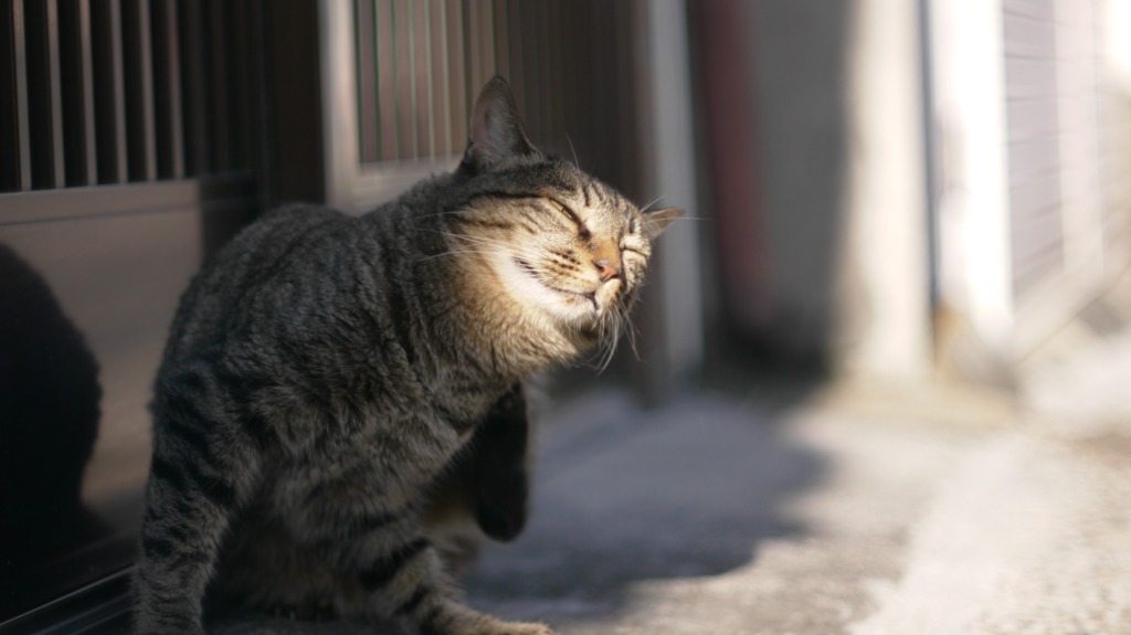 neco2