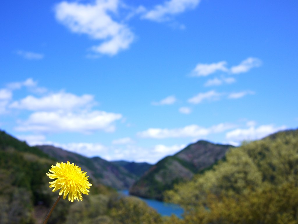 黄色のある景色