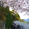 千の春をのせて…