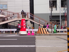よし！半分！！
