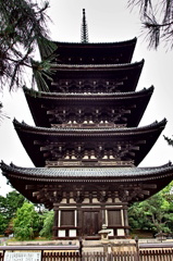 P7050141