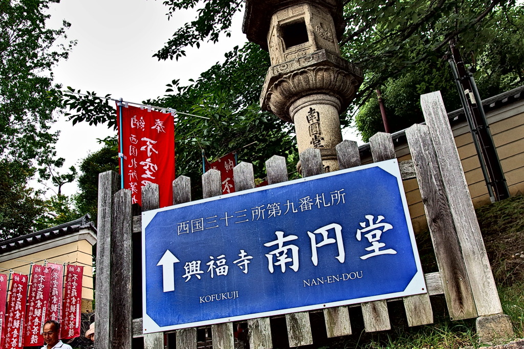 P7050407
