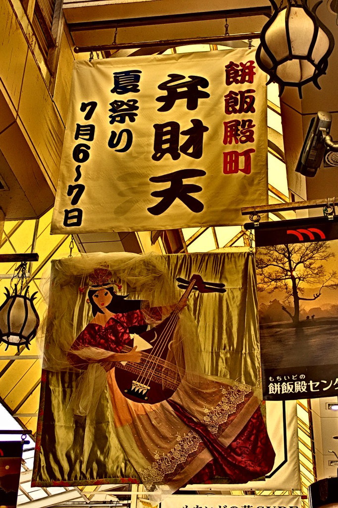 P7050561