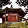 P7050379
