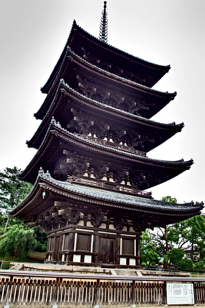 P7050155