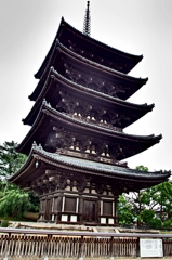 P7050155