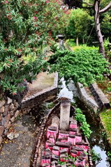 P7050491
