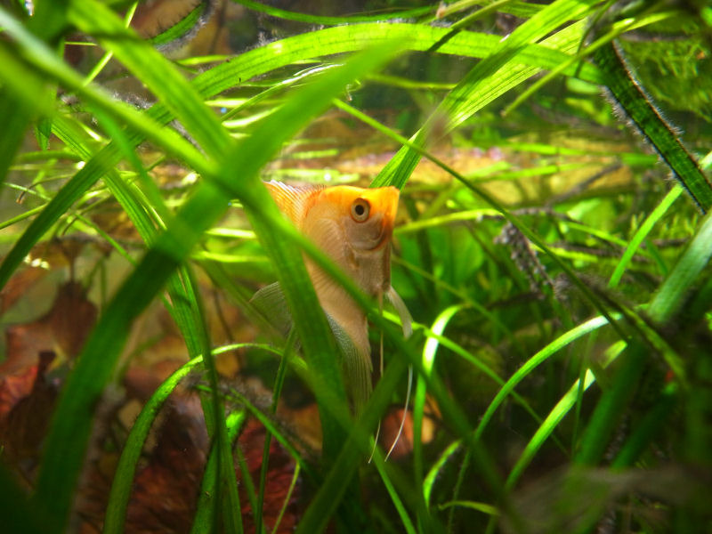 ・3・）こんにちは