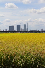 都市計画～さいたま新都心