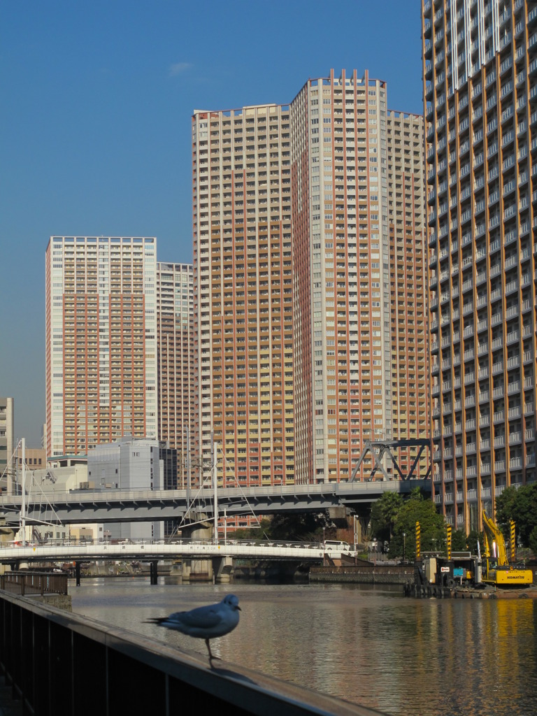東京憩いの運河