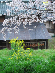 厳冬の先に