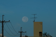 朝の月_DSC_5142