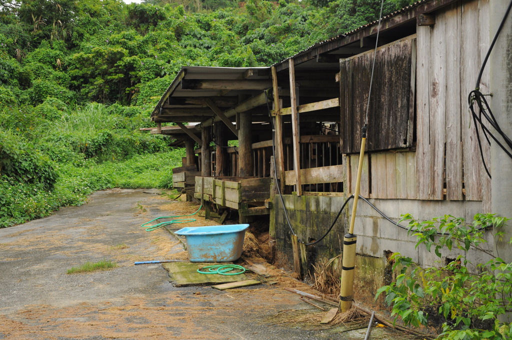 牛小屋