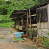 牛小屋