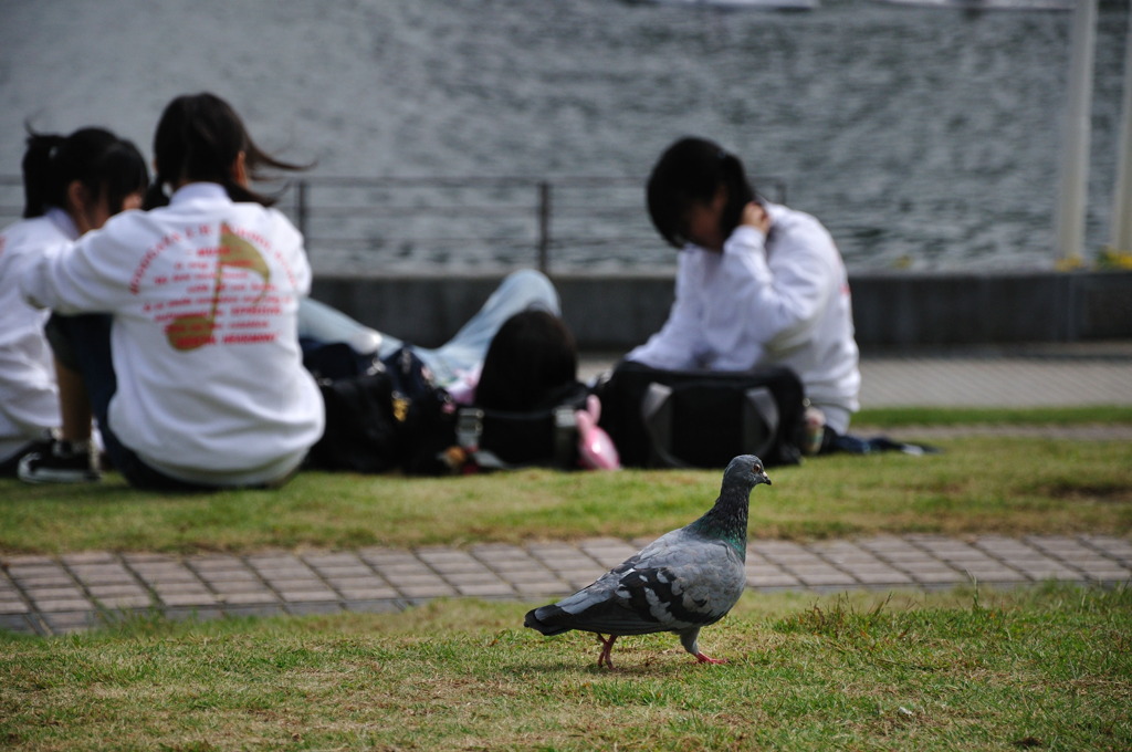 peace_DSC_4954