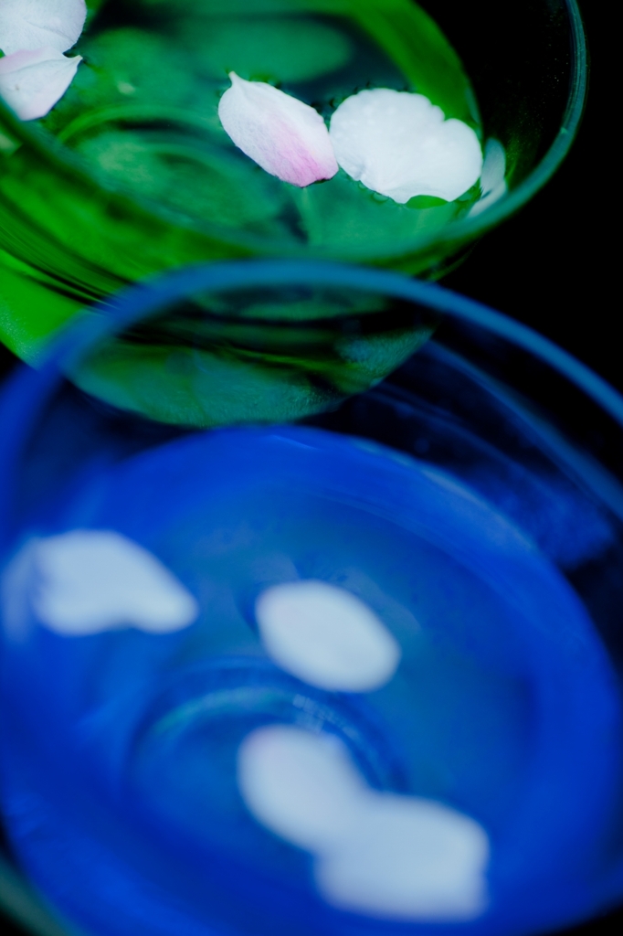 桜遊