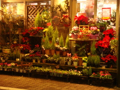 DSC00612
