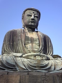 10311507