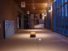 DSC00745