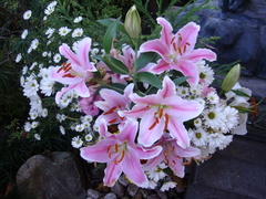 DSC00280