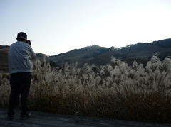 砥堀高原