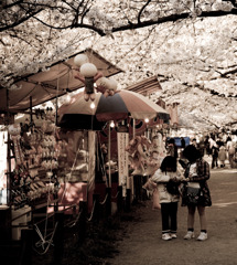 桜祭