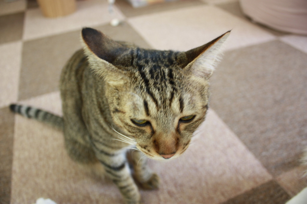 ぬ　う　っ