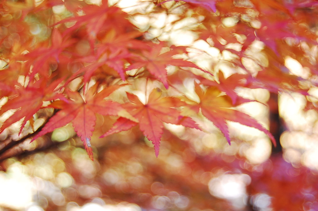 じ2009