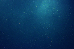 海の光