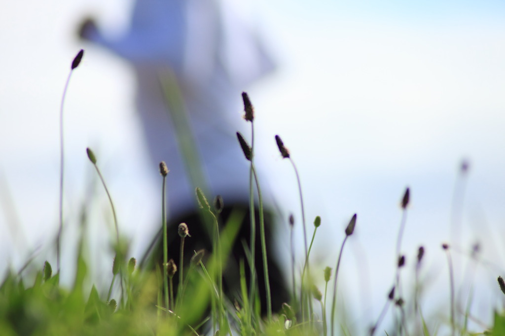 passing through spring