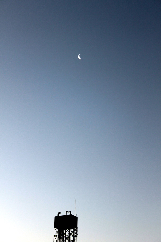 夜明け